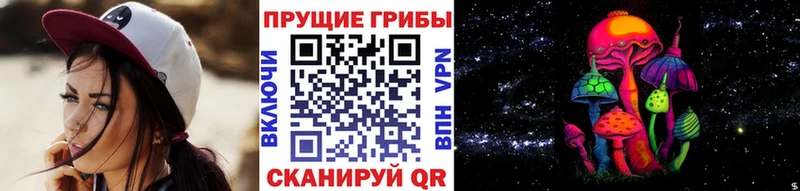 Галлюциногенные грибы MAGIC MUSHROOMS  hydra маркетплейс  Владивосток 