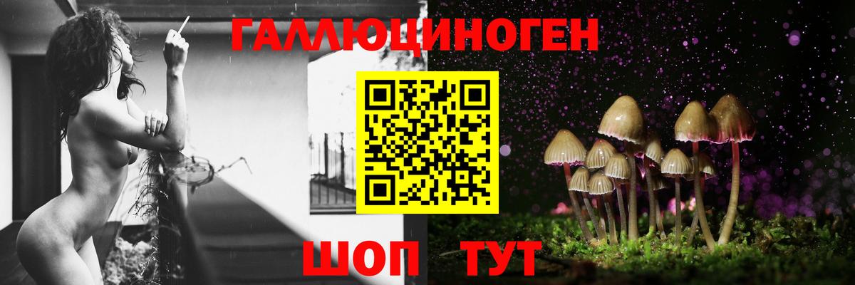 Псилоцибиновые грибы прущие грибы  Вход с VPN  Владивосток  Псилоцибиновые грибы Psilocybine cubensis 